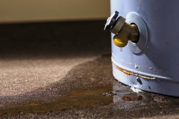 Best Sewage cleanup and water damage restoration  in Olney, IL