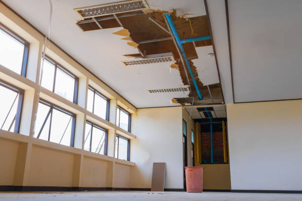 Best Commercial water damage restoration  in Olney, IL