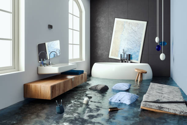 Best Professional water damage repair  in Olney, IL