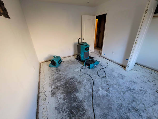 Best Water damage restoration near me  in Olney, IL