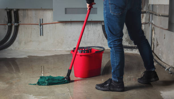 Best 24-hour water damage restoration  in Olney, IL