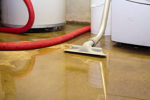 Best Basement water damage restoration  in Olney, IL