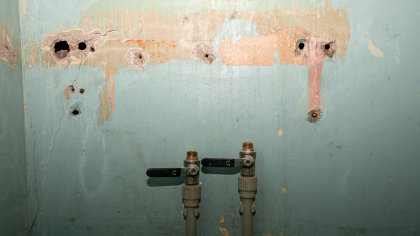 Best Water damage restoration near me  in Olney, IL