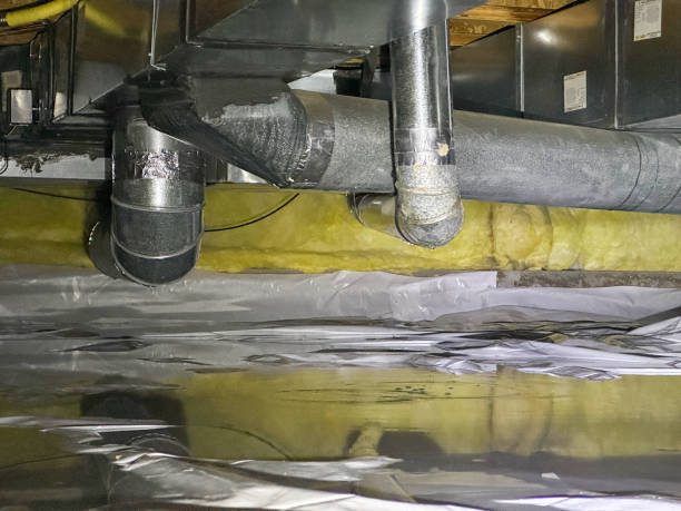 Best Water damage restoration insurance claims  in Olney, IL