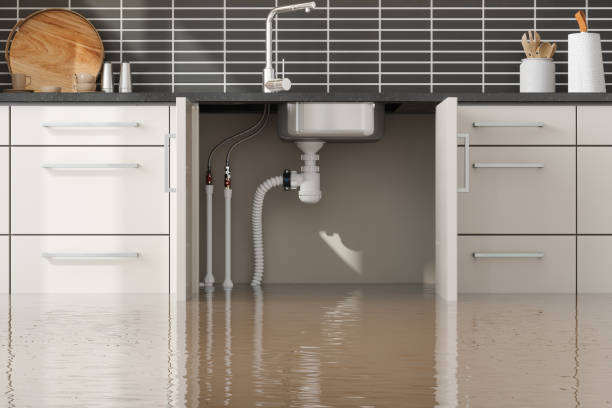Best Emergency water damage restoration  in Olney, IL
