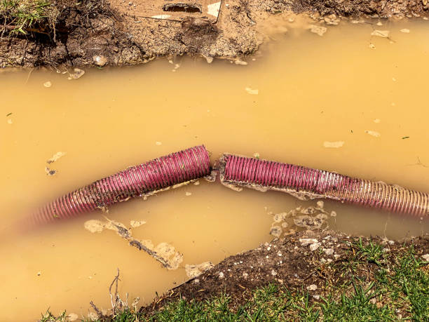 Best Residential water damage restoration  in Olney, IL